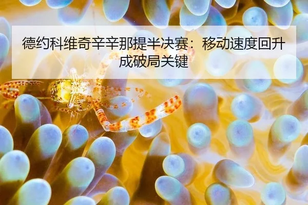 de-yue-ke-wei-qi-xin-xin-na-ti-ban-jue-sai-yi-dong-su-du-hui-sheng-cheng-po-ju-guan-jian-2-171.jpg
